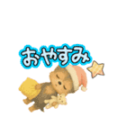 可愛い～被り物ワンワンだワン♪（個別スタンプ：23）