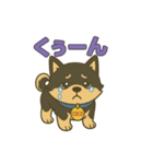 黒柴ココのスタンプ2（個別スタンプ：1）