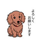 ミニチュアダックス (ロング＋レッド)（個別スタンプ：3）