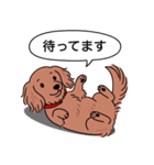 ミニチュアダックス (ロング＋レッド)（個別スタンプ：10）