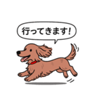 ミニチュアダックス (ロング＋レッド)（個別スタンプ：13）