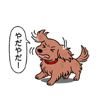 ミニチュアダックス (ロング＋レッド)（個別スタンプ：23）