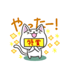 白ねこの【冬】スタンプ（個別スタンプ：16）