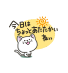 白ねこの【冬】スタンプ（個別スタンプ：20）
