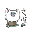 白ねこの【冬】スタンプ（個別スタンプ：27）