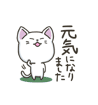白ねこの【冬】スタンプ（個別スタンプ：29）