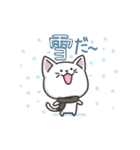 白ねこの【冬】スタンプ（個別スタンプ：33）