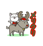 白ねこの【冬】スタンプ（個別スタンプ：39）