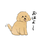色んな犬詰め合わせ（個別スタンプ：2）