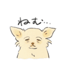 色んな犬詰め合わせ（個別スタンプ：3）