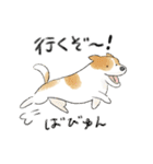 色んな犬詰め合わせ（個別スタンプ：7）