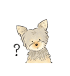 色んな犬詰め合わせ（個別スタンプ：8）