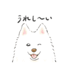 色んな犬詰め合わせ（個別スタンプ：9）
