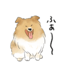 色んな犬詰め合わせ（個別スタンプ：10）