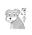 色んな犬詰め合わせ（個別スタンプ：11）