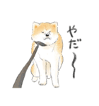 色んな犬詰め合わせ（個別スタンプ：12）