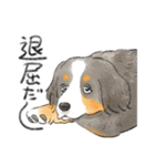 色んな犬詰め合わせ（個別スタンプ：13）