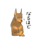 色んな犬詰め合わせ（個別スタンプ：15）