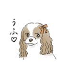 色んな犬詰め合わせ（個別スタンプ：17）