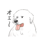 色んな犬詰め合わせ（個別スタンプ：18）