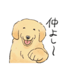 色んな犬詰め合わせ（個別スタンプ：19）