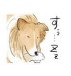 色んな犬詰め合わせ（個別スタンプ：20）