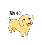 色んな犬詰め合わせ（個別スタンプ：21）