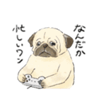 色んな犬詰め合わせ（個別スタンプ：22）