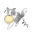 色んな犬詰め合わせ（個別スタンプ：23）