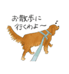 色んな犬詰め合わせ（個別スタンプ：26）