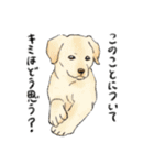 色んな犬詰め合わせ（個別スタンプ：27）