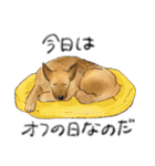 色んな犬詰め合わせ（個別スタンプ：29）