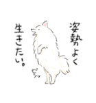 色んな犬詰め合わせ（個別スタンプ：33）