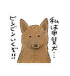 色んな犬詰め合わせ（個別スタンプ：34）