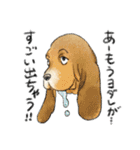 色んな犬詰め合わせ（個別スタンプ：35）