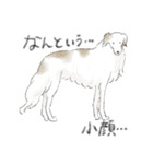 色んな犬詰め合わせ（個別スタンプ：36）