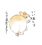 色んな犬詰め合わせ（個別スタンプ：37）