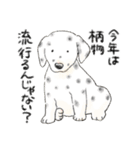 色んな犬詰め合わせ（個別スタンプ：40）