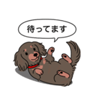 ミニチュアダックス (ロング＋チョコタン)（個別スタンプ：10）