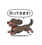 ミニチュアダックス (ロング＋チョコタン)（個別スタンプ：13）