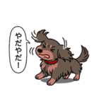 ミニチュアダックス (ロング＋チョコタン)（個別スタンプ：23）