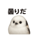 リアルでかわいい天気シマエナガ｜日常生活（個別スタンプ：2）