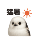 リアルでかわいい天気シマエナガ｜日常生活（個別スタンプ：4）