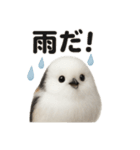 リアルでかわいい天気シマエナガ｜日常生活（個別スタンプ：6）
