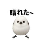 リアルでかわいい天気シマエナガ｜日常生活（個別スタンプ：9）