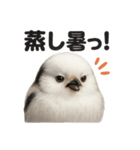 リアルでかわいい天気シマエナガ｜日常生活（個別スタンプ：13）