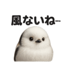 リアルでかわいい天気シマエナガ｜日常生活（個別スタンプ：14）