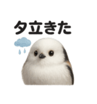 リアルでかわいい天気シマエナガ｜日常生活（個別スタンプ：15）