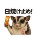 リアルでかわいい天気フクロモモンガ（個別スタンプ：13）