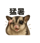 リアルでかわいい天気フクロモモンガ（個別スタンプ：15）